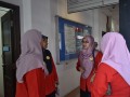 Tn dsc 0074